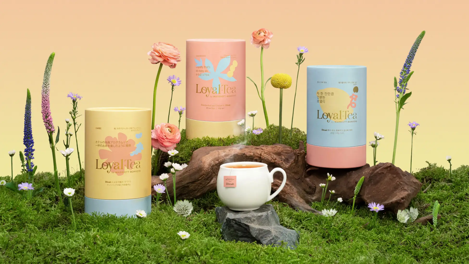 teat ティート　ラグモチョップ　希少カラー ティーカップから世界へ。マリオット×ディルマが贈る「Loyal-Tea」の旅